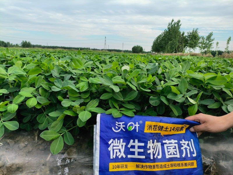 微生物菌剂-沃叶消茬健土14元素花生.jpg