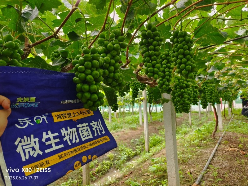 破解土壤退化制约农业高产增收困局 破解土壤退化制约农业高产增收困局
