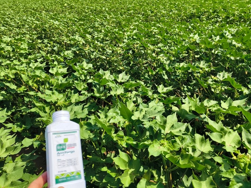 除草剂和叶面肥能一起用吗? 除草剂和叶面肥能一起用吗?