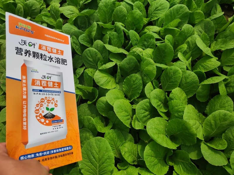 水溶肥选对，叶菜防病又增产