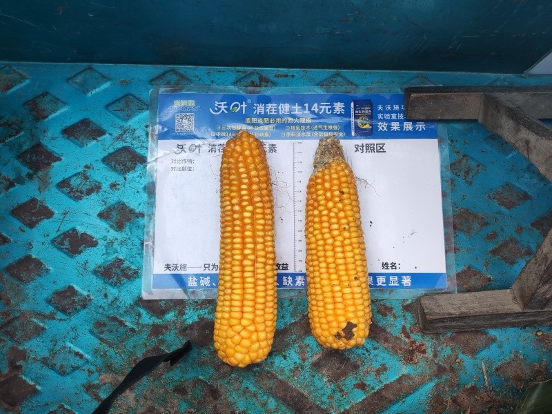 微信图片_20260929081837_716_1.jpg