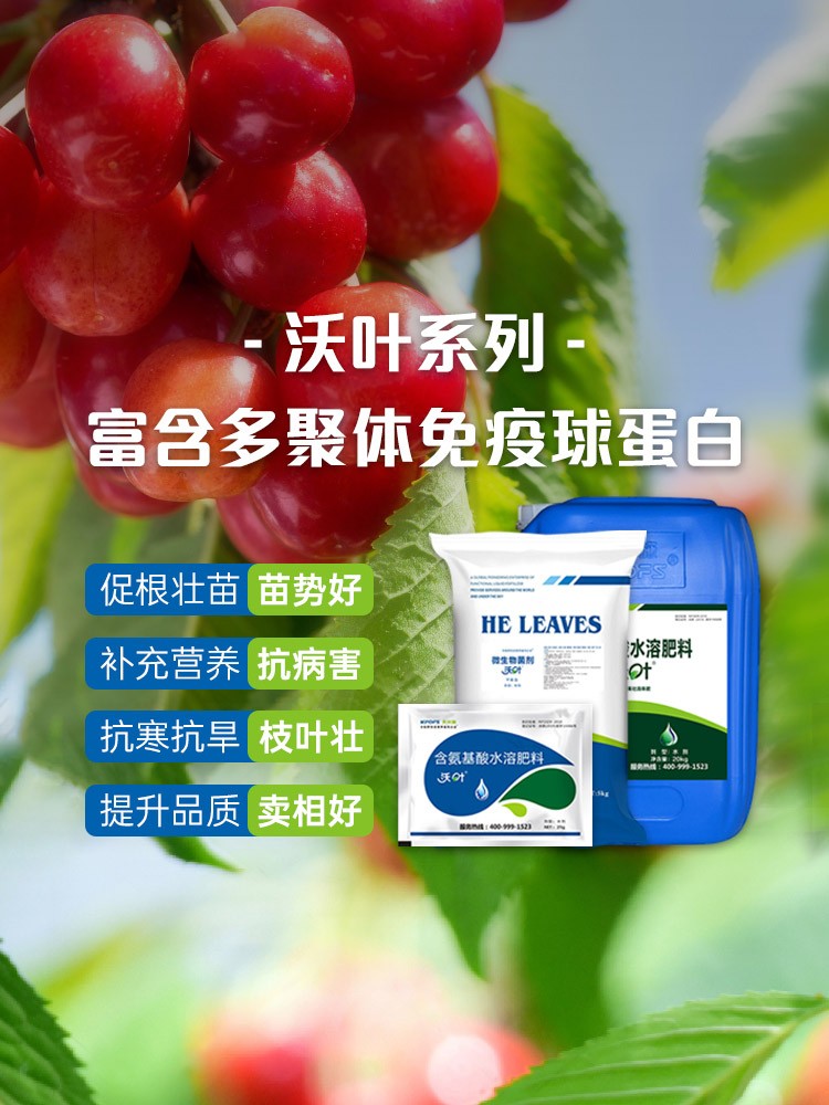 沃叶系列，富含多聚体免疫球蛋白