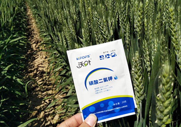 小麦专用肥施肥方案-沃叶篇